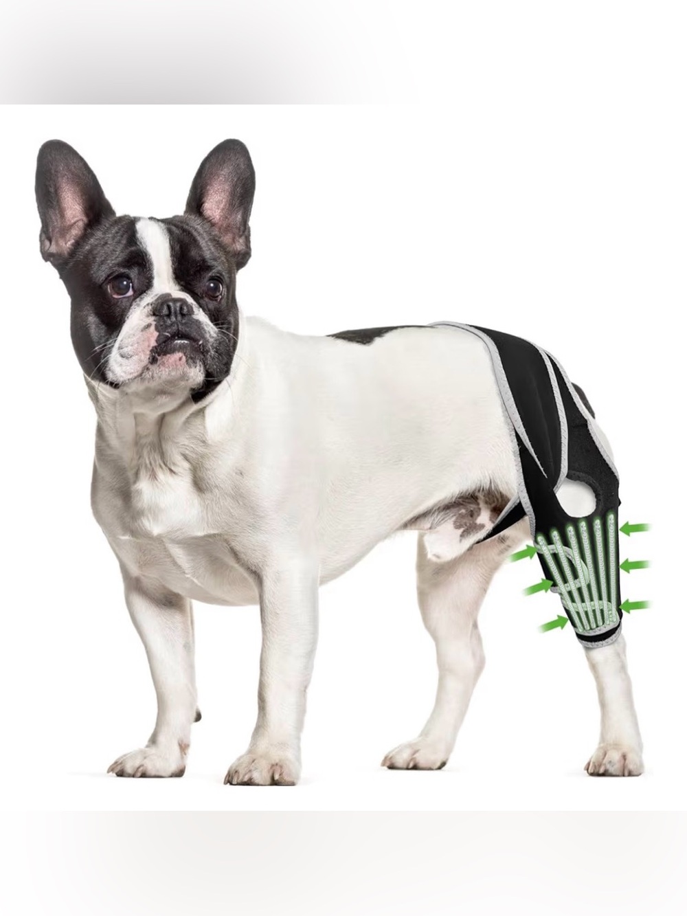 Kisfly Dog Knee Brace